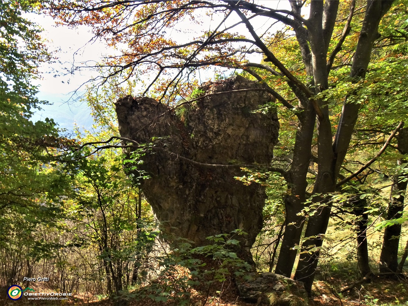 46 Roccione solitario nel bosco.JPG